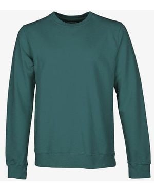 COLORFUL STANDARD Kleurrijke Standaard Klassieke Organische Crew - Groen