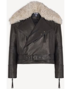 Balmain Leather Jacket With Shearling Collar - Black