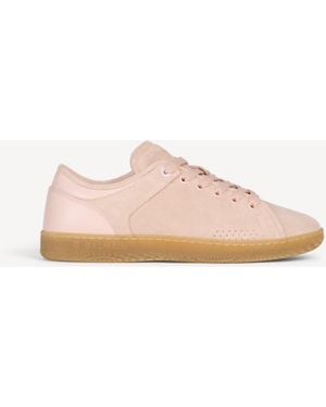 Balmain Tennis Swan En Cuir Suédé Et Lisse - Rose