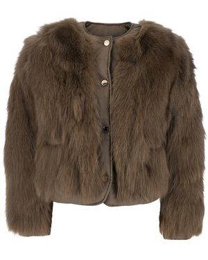 Suprema Cropped And Reversible Neckless Fur - Brown