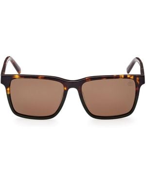 Timberland Sunglasses - Brown