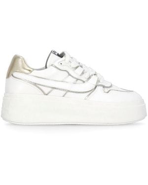 Ash Trainers - White