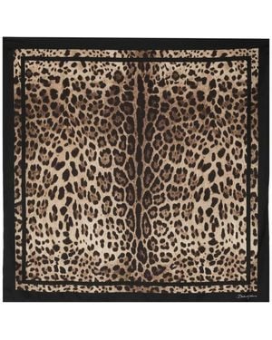 Dolce & Gabbana Scarves - Black