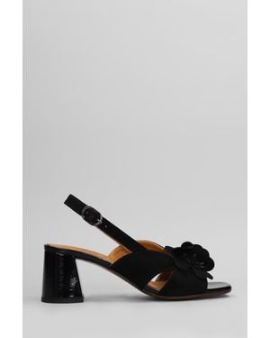 Chie Mihara Sandals - Black