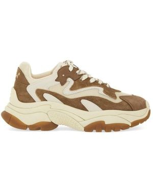 Ash "Addict 06" Sneakers - Natural