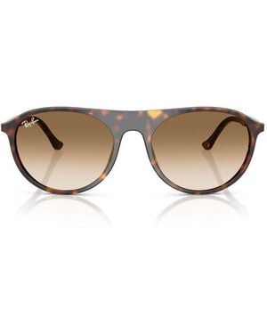 Ray-Ban Sunglasses - Brown