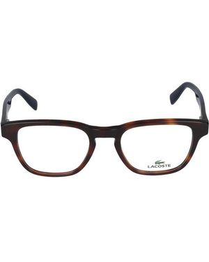 Lacoste Eyeglasses - Black