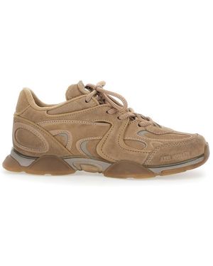 Axel Arigato Eris Trainer - Brown