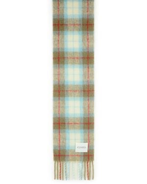 Closed Alpaca Blend Scarf - Green