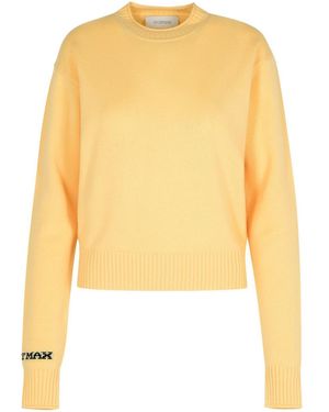 Sportmax 'Agadir1234' Ivory Wool Blend Sweater - Yellow