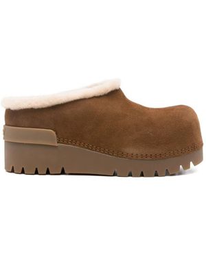 Ash Shoes - Brown