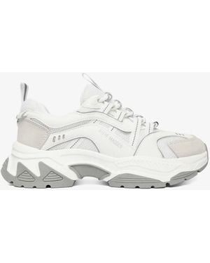 Steve Madden Sneakers - White