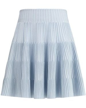 Balmain Skirts - Blue