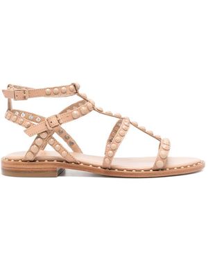 Ash Shoes - Brown