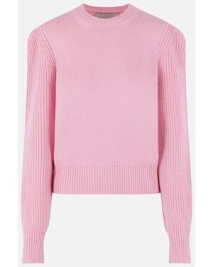 Sa Su Phi Sweaters - Pink