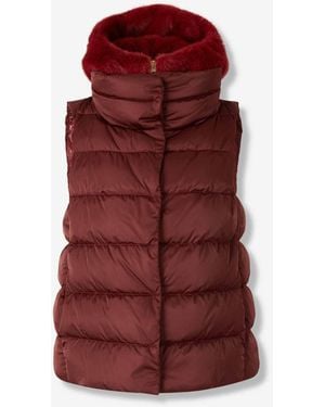 Herno Padded Vest Hood - Red