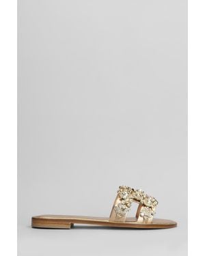 EDDICUOMO Flats - Multicolour