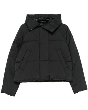 Canada Goose Chilliwack Puffer Jacket - Black