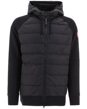 Canada Goose Jackets - Black