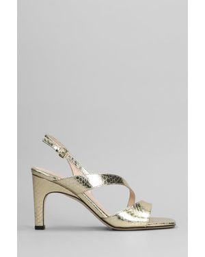 Evaluna Sandals - Multicolor