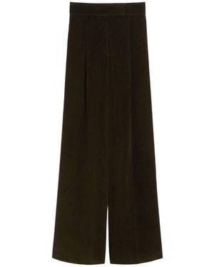 Max Mara Wide-leg Velvet Trousers - Brown