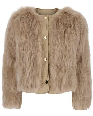 Suprema Cropped And Reversible Neckless Fur - Natural