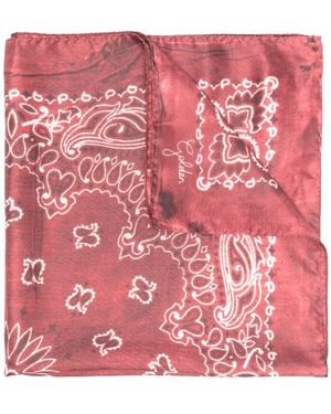 Golden Goose Scarfs - Pink