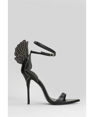Sophia Webster Cherub Sandals - Black