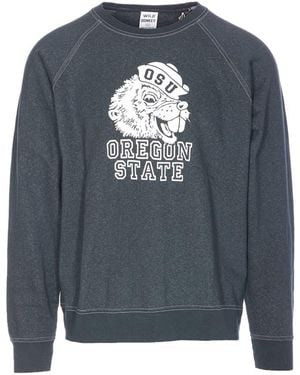 WILD DONKEY Jumpers - Blue