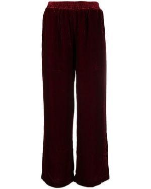 Gold Hawk Velvet Wide-Leg Trousers - Purple