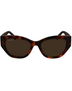 Lacoste Sunglasses - Brown