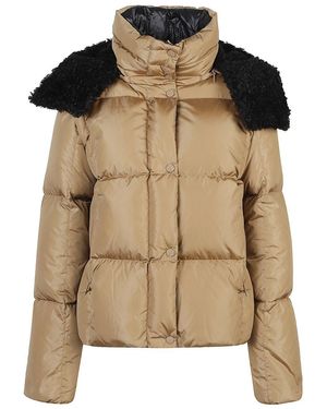 Moncler Jacket - Brown
