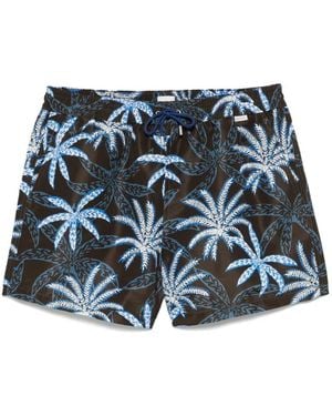 Paul Smith Swim Short Palms - Blue