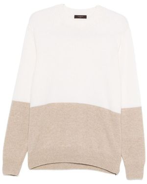 Zanone Sweaters - White
