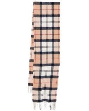 Barbour Scarves - Multicolour