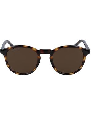 Lacoste Sunglasses - Brown