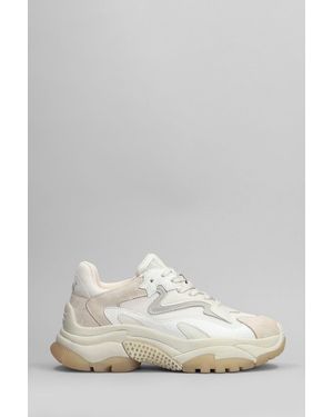 Ash Addict Sneakers - White