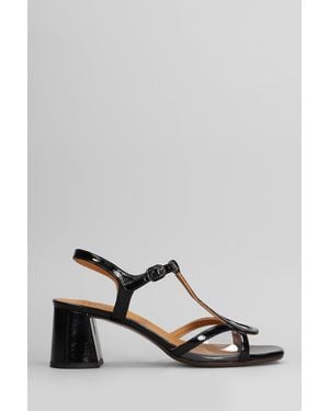 Chie Mihara Ryona Sandals - Black