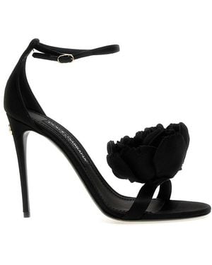 Dolce & Gabbana Shoes - Black