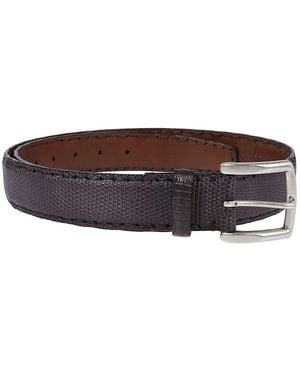 Reptile's House Belt - Brown
