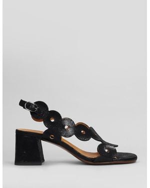 Chie Mihara Sandals - Black