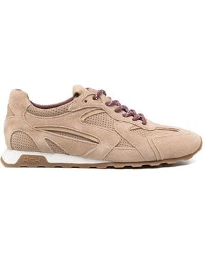 Ash Sneakers - Pink