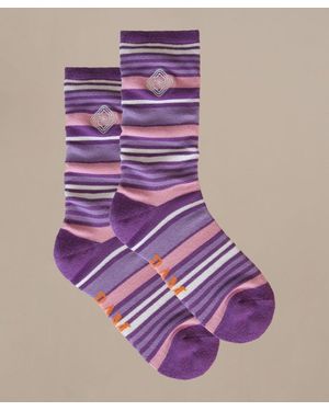 BAM Shades - Purple