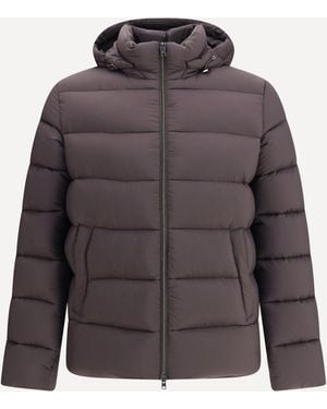 Herno Hooded Bomber - Purple