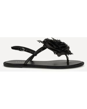 Le Silla Rose Sandals - White