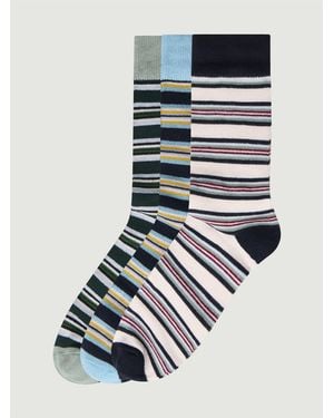 Ben Sherman 3 Pack Stripe Socks - Blue