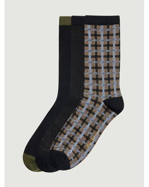 Ben Sherman 3 Pack Mod Stripe Sock In Khaki - Black