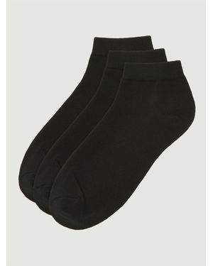 Ben Sherman 3 Pack Trainer Socks In Black