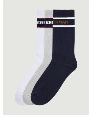 Ben Sherman 3 Pack Logo Ivy Rib Socks - Blue