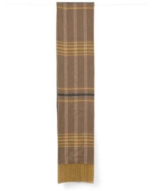 Etro Sciarpa Multicolore A Strisce - Neutro